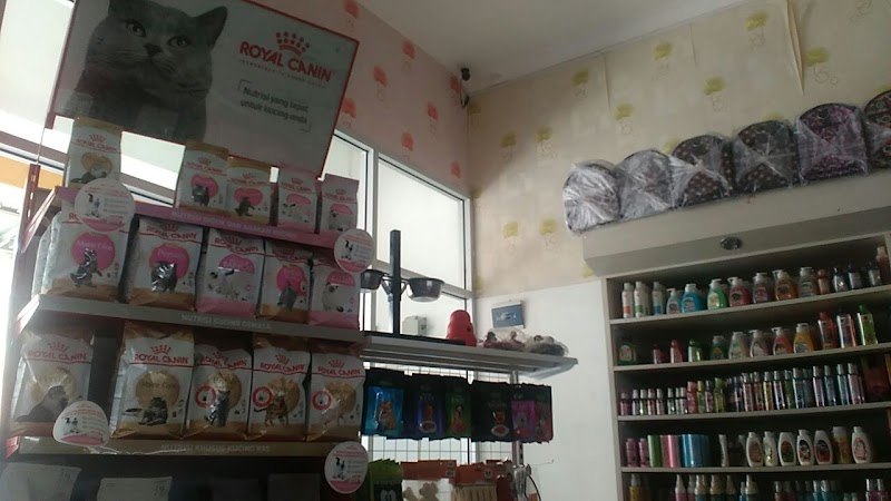 Caramel Petshop: Jalan Urip Sumoharjo, Tempat Terbaik untuk Hewan Peliharaan Cilacap